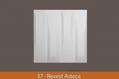 37 - Forma ABS Asteca 1.jpg